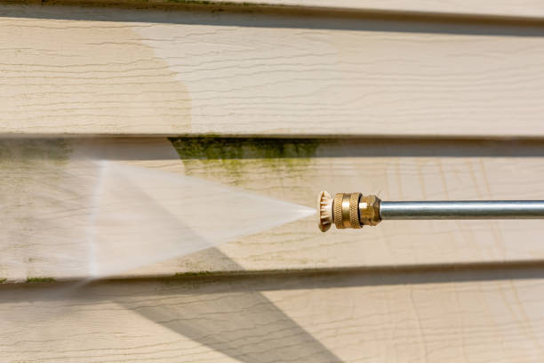 Best Roof Power Washing Services  in Trinidad, CO