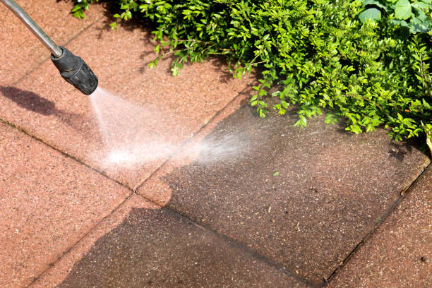 Best Pressure Washing Near Me  in Trinidad, CO